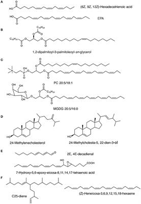 Exploring Valuable Lipids in Diatoms